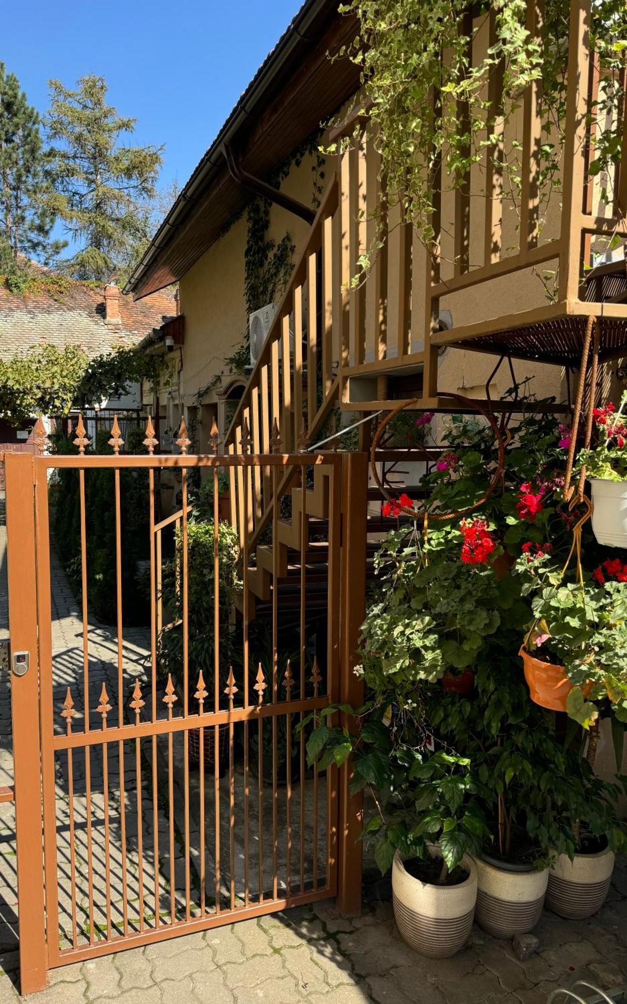 Studio Rezistenta Făgăraş Exterior foto