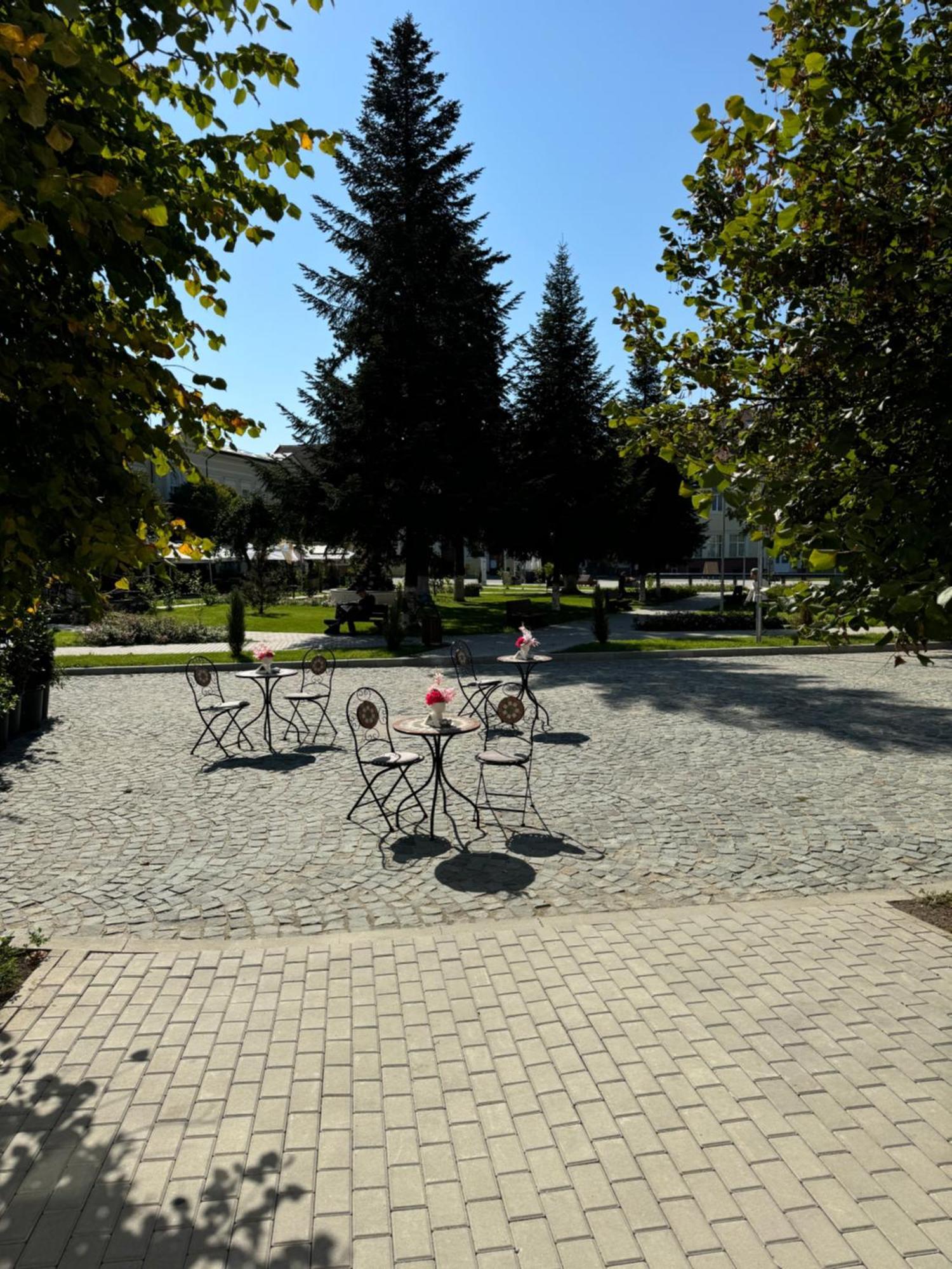 Studio Rezistenta Făgăraş Exterior foto